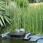 Standing Piscine Privee En Ecrin De Verdure Villa