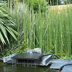 Standing Piscine Privee En Ecrin De Verdure Villa Mérignac