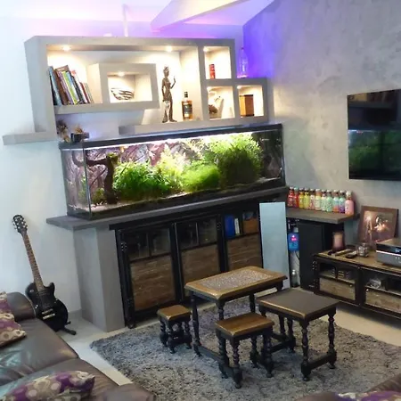 Standing Piscine Privée En écrin De Verdure Mérignac