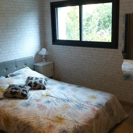 Standing Piscine Privee En Ecrin De Verdure Mérignac