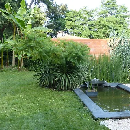 Standing Piscine Privee En Ecrin De Verdure * Mérignac