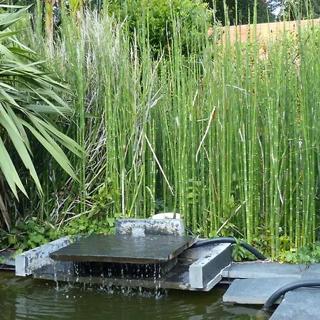 Standing Piscine Privee En Ecrin De Verdure Villa