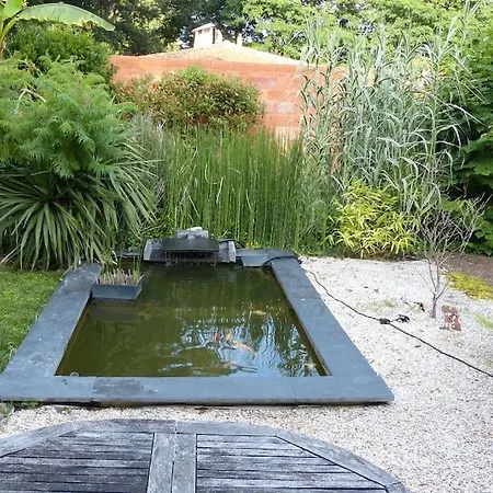 Standing Piscine Privee En Ecrin De Verdure Mérignac
