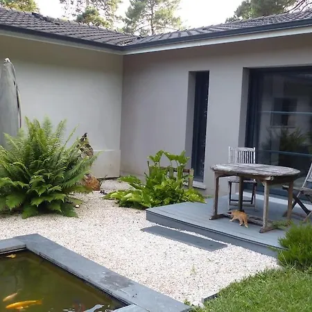 Villa Standing Piscine Privée En écrin De Verdure Mérignac