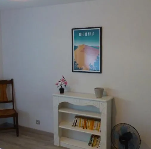 Standing Piscine Privée En écrin De Verdure Mérignac