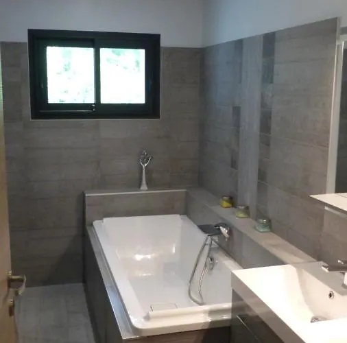 Standing Piscine Privée En écrin De Verdure Villa Mérignac