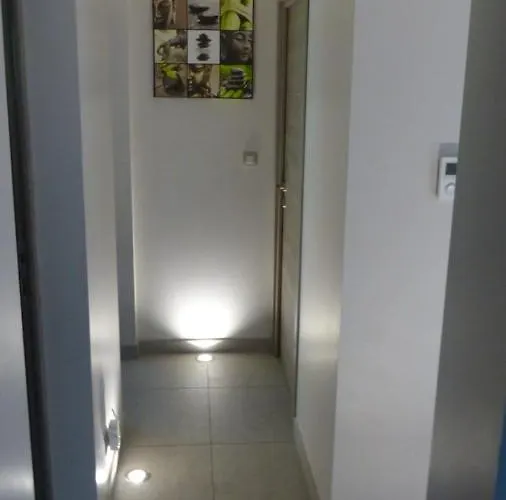 Standing Piscine Privée En écrin De Verdure Villa Mérignac