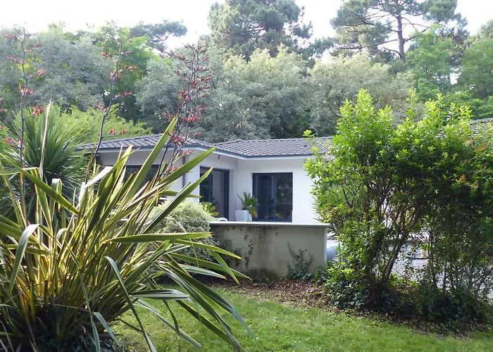 Villa Standing Piscine Privée En écrin De Verdure
