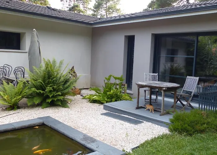 Standing Piscine Privée En écrin De Verdure Mérignac