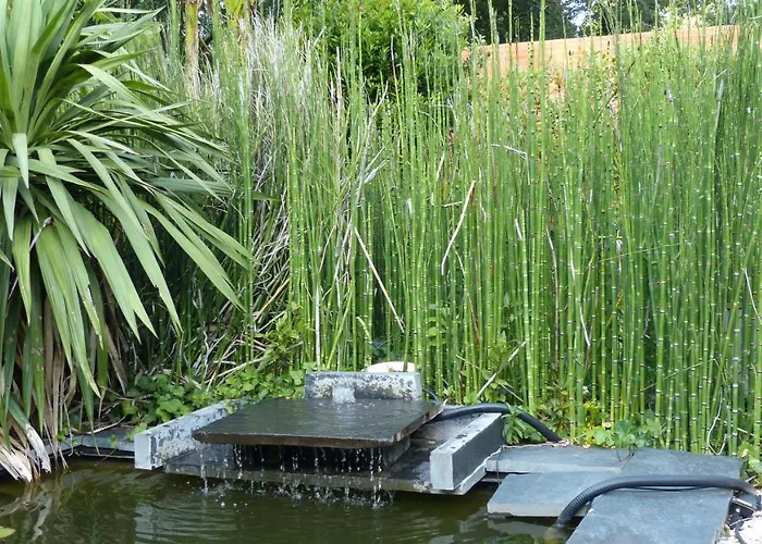 Standing Piscine Privée En écrin De Verdure Villa