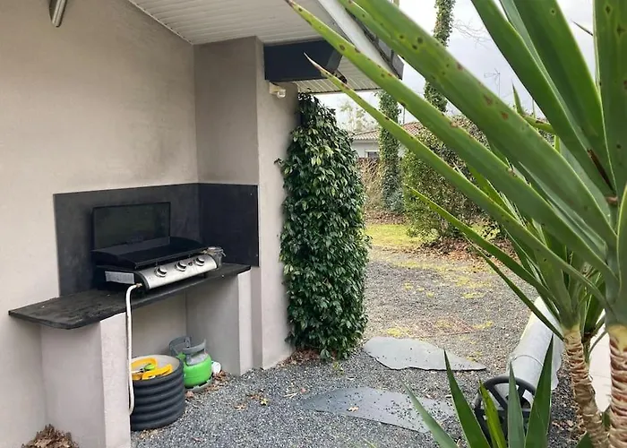 Standing Piscine Privée En écrin De Verdure *