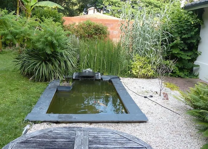 Standing Piscine Privée En écrin De Verdure Mérignac